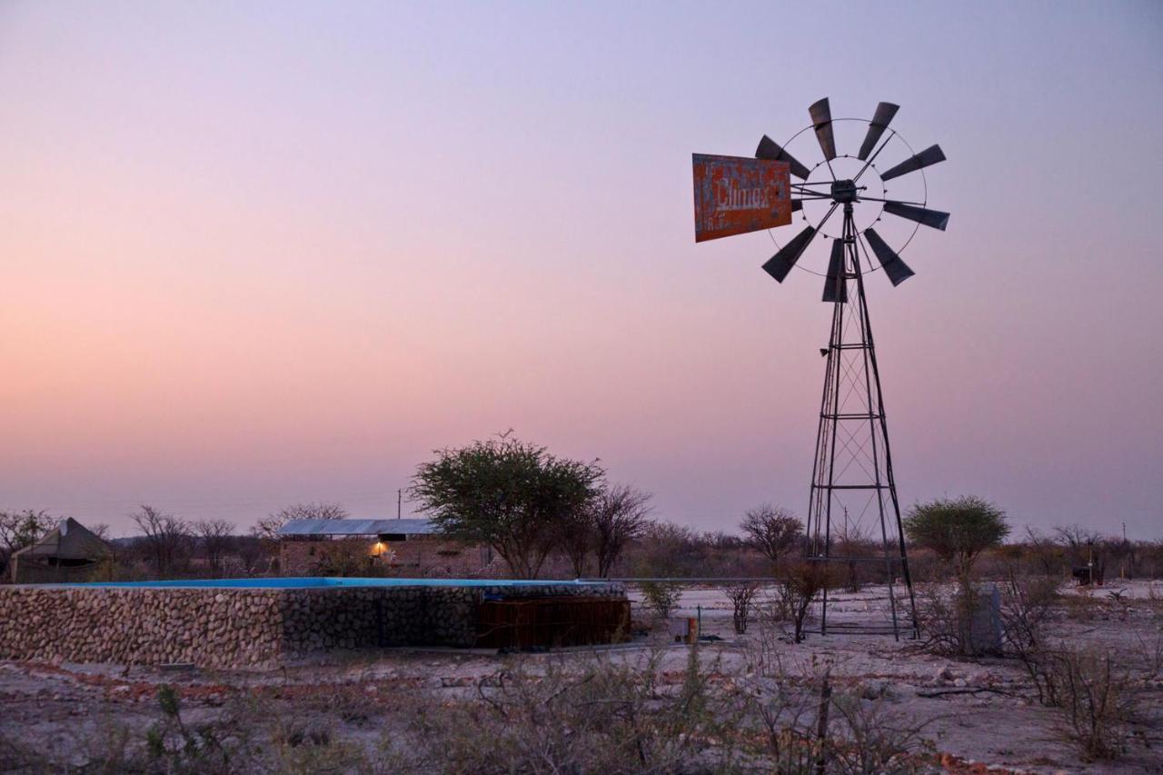 Etosha Trading Post Campsite 오카우쿠에요 외부 사진