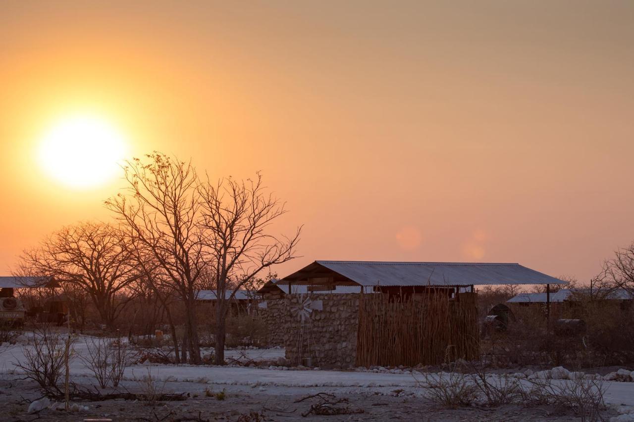 Etosha Trading Post Campsite 오카우쿠에요 외부 사진